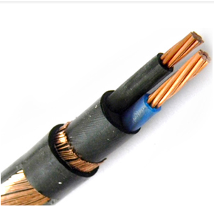 Copper Conductor Concentric Cable