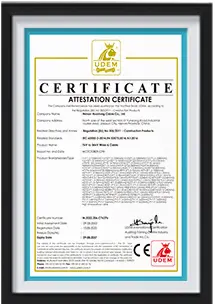  certificate-02