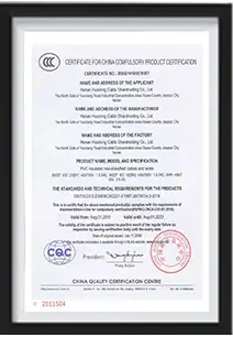  certificate-03