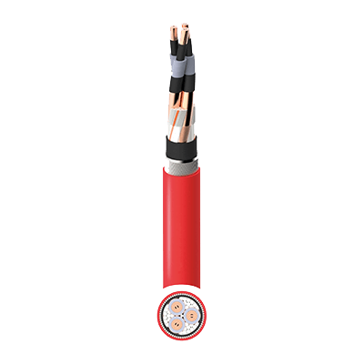 BS6622 Standard Cable