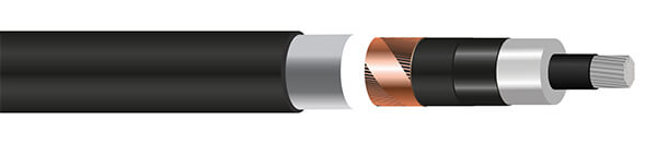 na2xs-fl-2y-cable